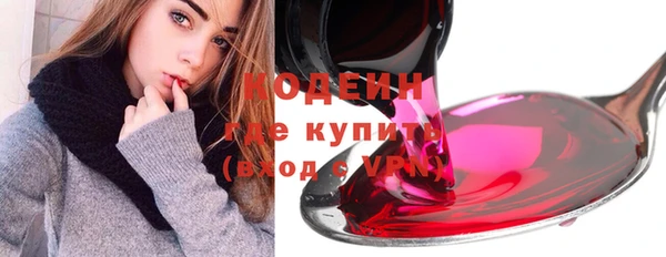шишки Новодвинск