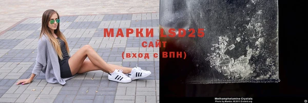 тгк Новозыбков