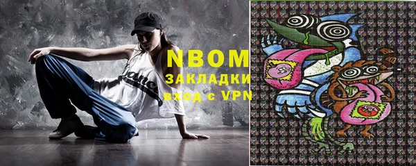 шишки Новодвинск