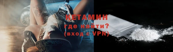 шишки Новодвинск