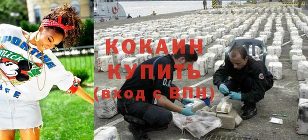 тгк Новозыбков