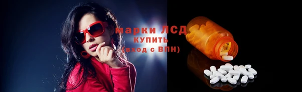 шишки Новодвинск
