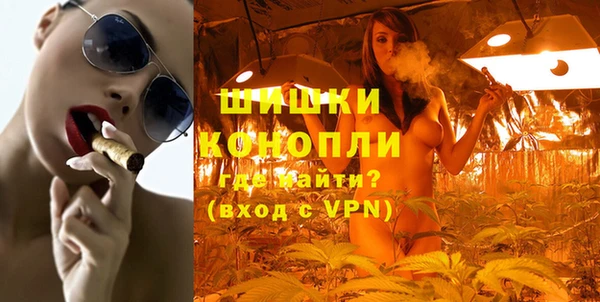 индика Нефтегорск