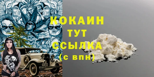 тгк Новозыбков