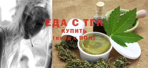 тгк Новозыбков