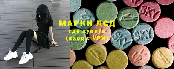 тгк Новозыбков