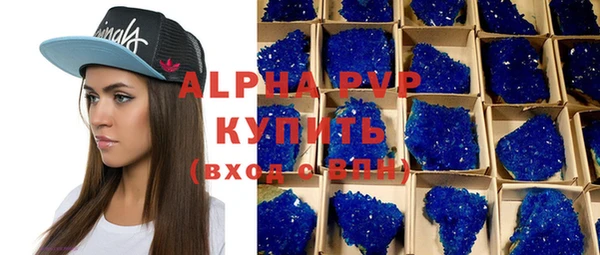 дурь Няндома
