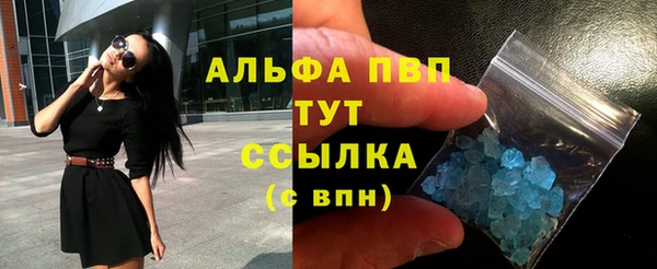 твердый Бикин