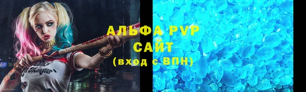 шишки Новодвинск
