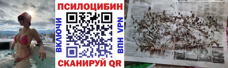 гидра онион  Нарьян-Мар  Псилоцибиновые грибы MAGIC MUSHROOMS  дарнет шоп 