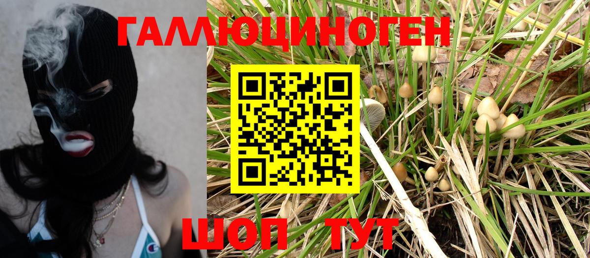 Галлюциногенные грибы Cubensis  Нарьян-Мар 