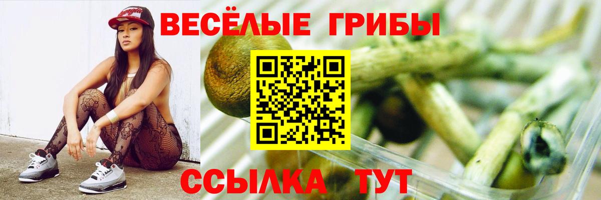 Псилоцибиновые грибы MAGIC MUSHROOMS  Псилоцибиновые грибы Psilocybe  Вход с VPN  где найти   Нарьян-Мар 